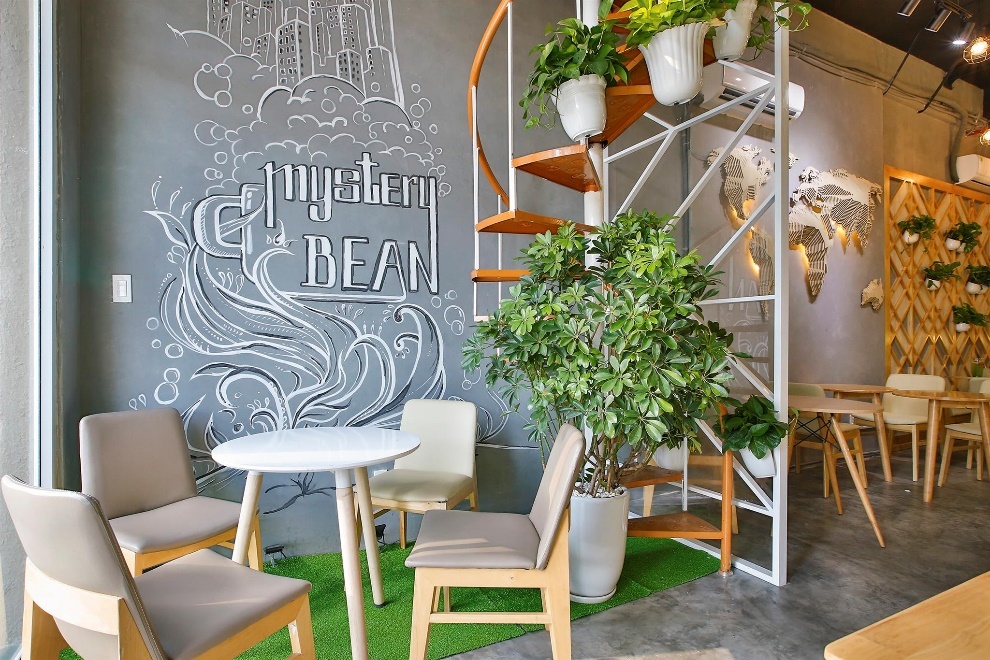 Mystery Bean ảnh 2 Mystery Bean anh 2
