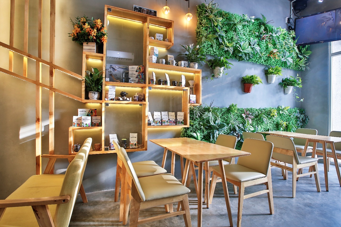 Mystery Bean ảnh 4 Mystery Bean anh 4