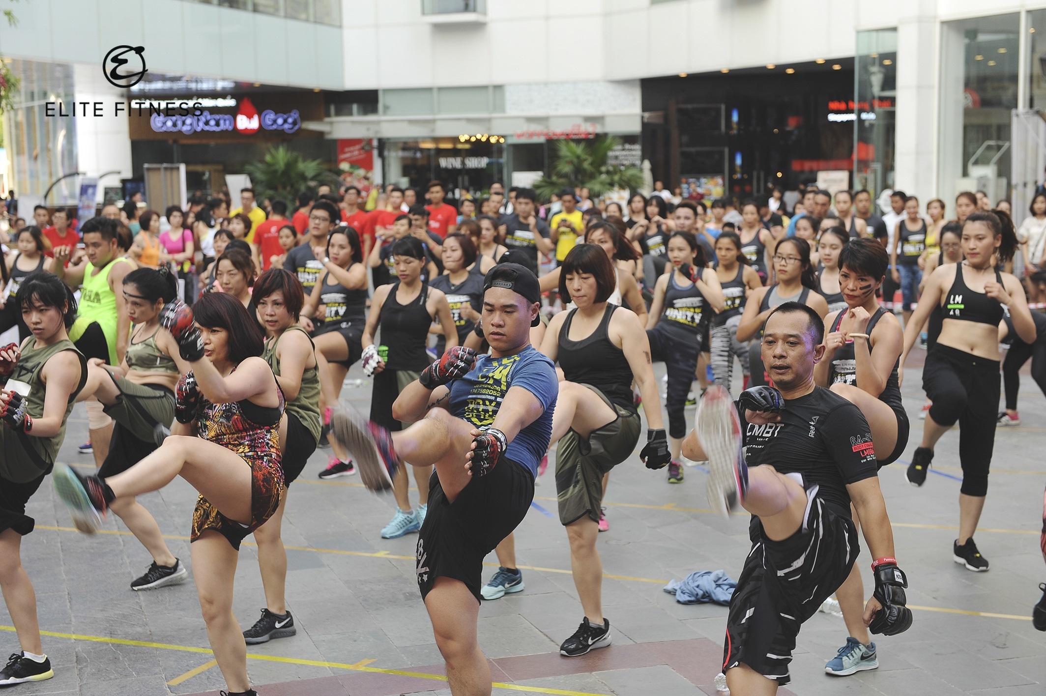 Elite ảnh 2 Elite anh 2