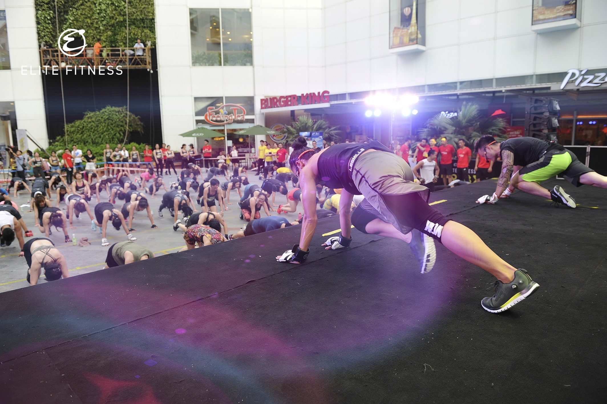 Elite ảnh 3 Elite anh 3