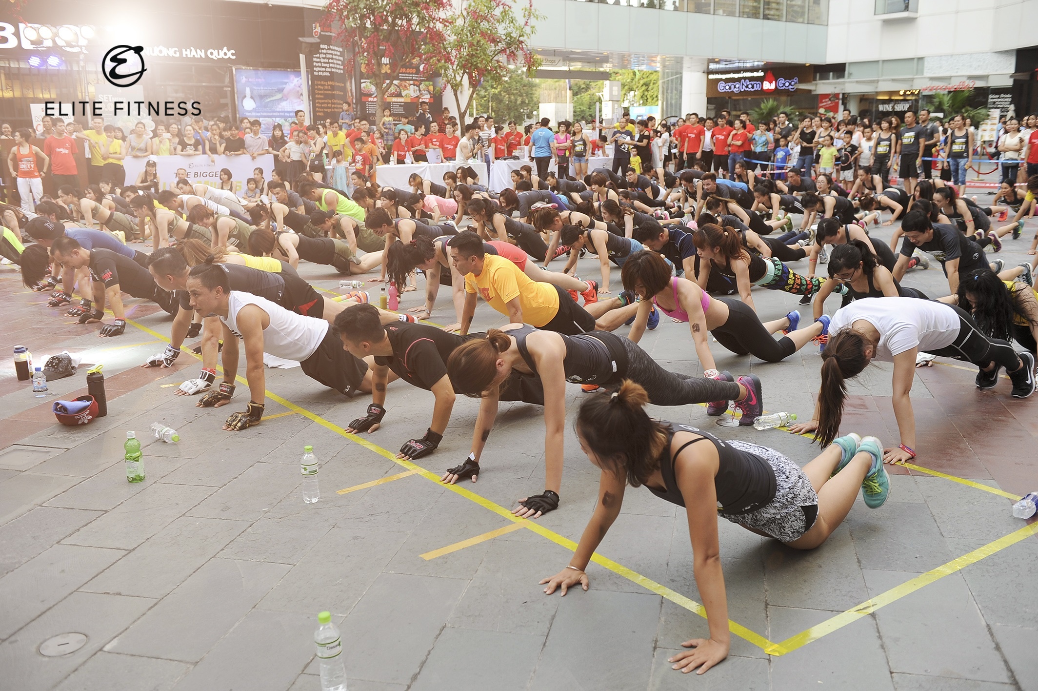 Elite Fitness to chuc hoi thao ket hop am nhac ngoai troi hinh anh