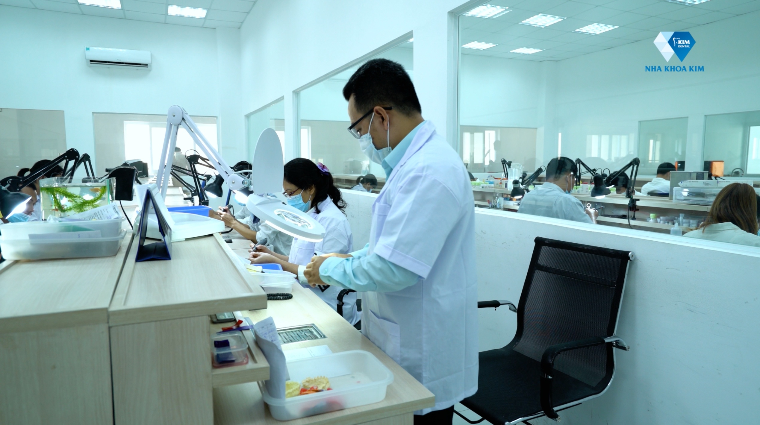 Video - Quy trinh lam rang su: hinh anh