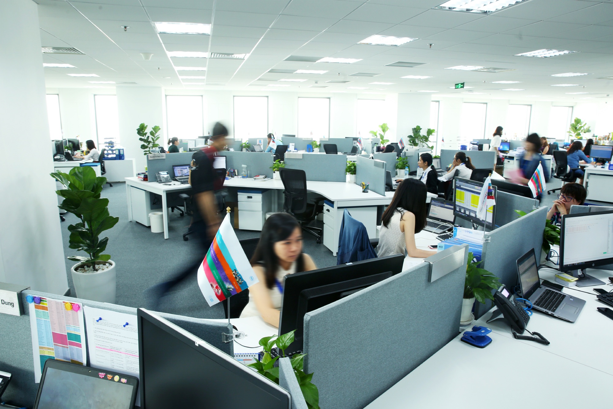 Mot vong khong gian lam viec cua nu nhan vien tai Roche Diagnostics VN hinh anh