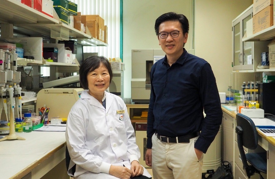 Chan doan nguy co ung thu vu bang nghien cuu di truyen hinh anh