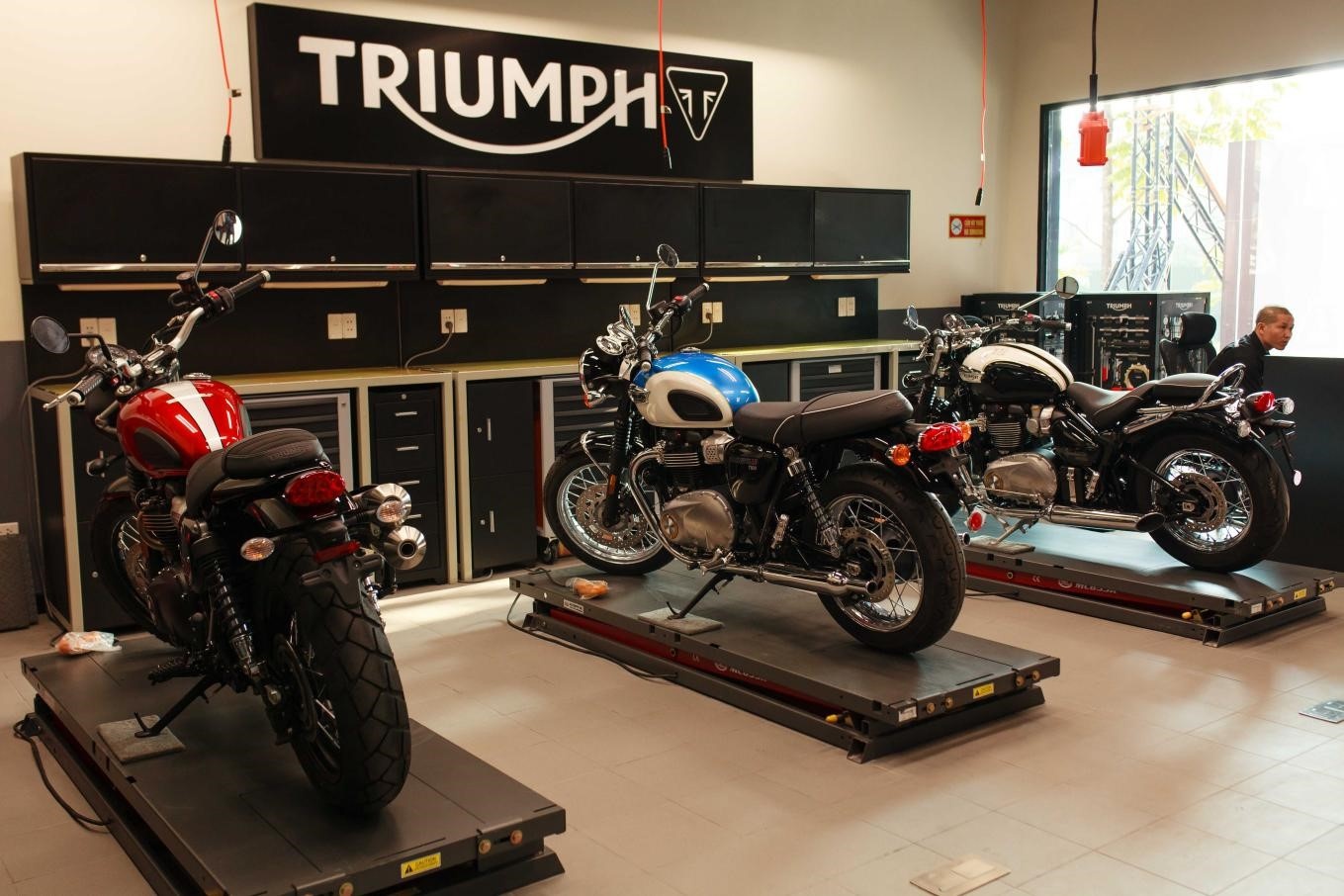 Triumph anh 3
