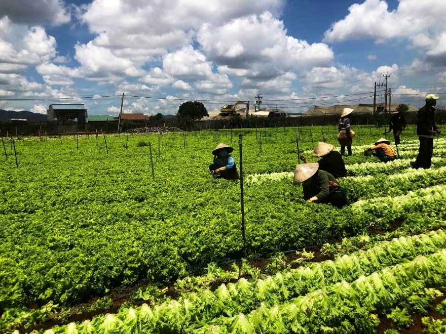 MM Mega Market Việt Nam ảnh 2 MM Mega Market Viet Nam anh 2