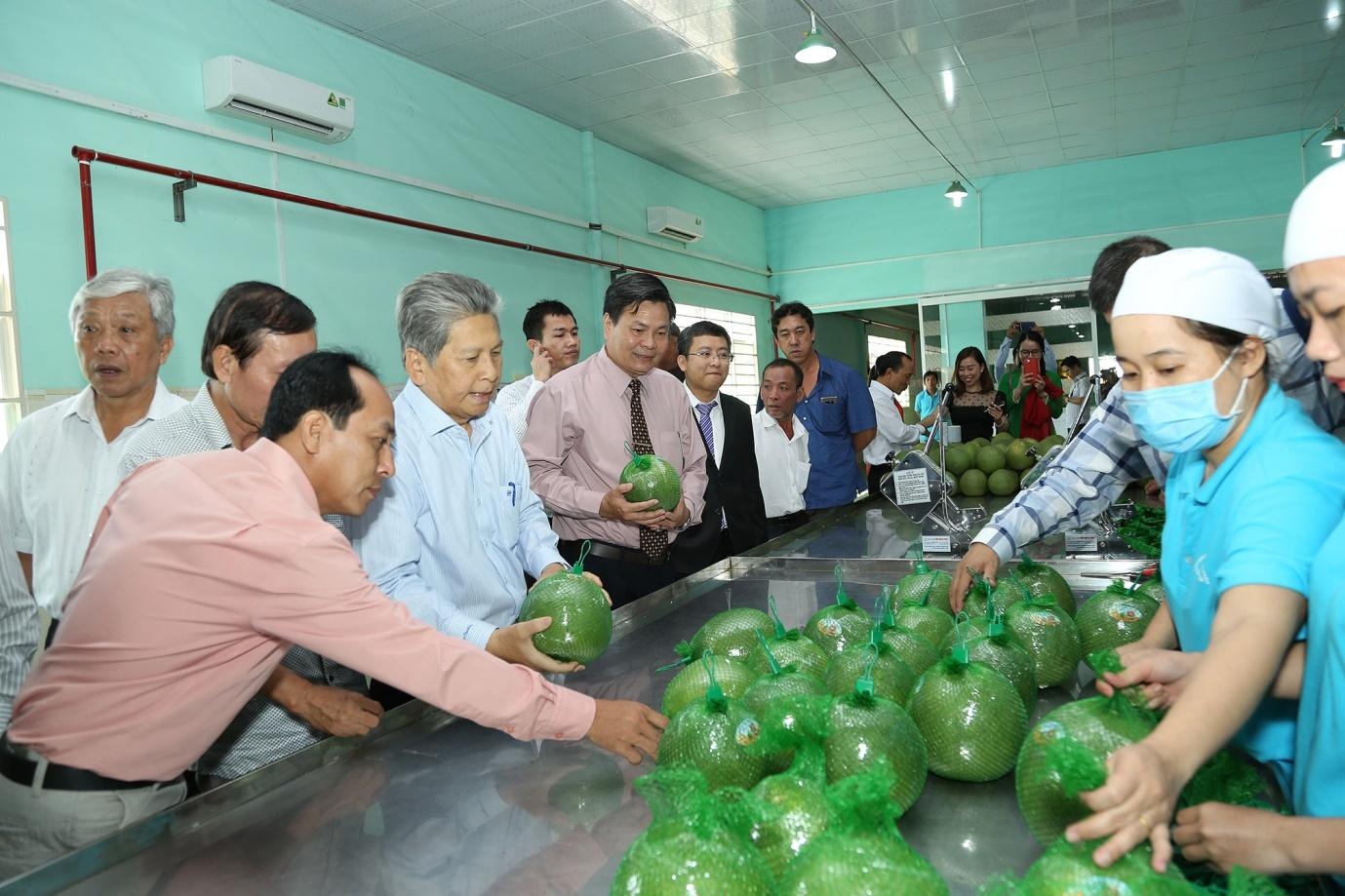 MM Mega Market Việt Nam ảnh 3 MM Mega Market Viet Nam anh 3