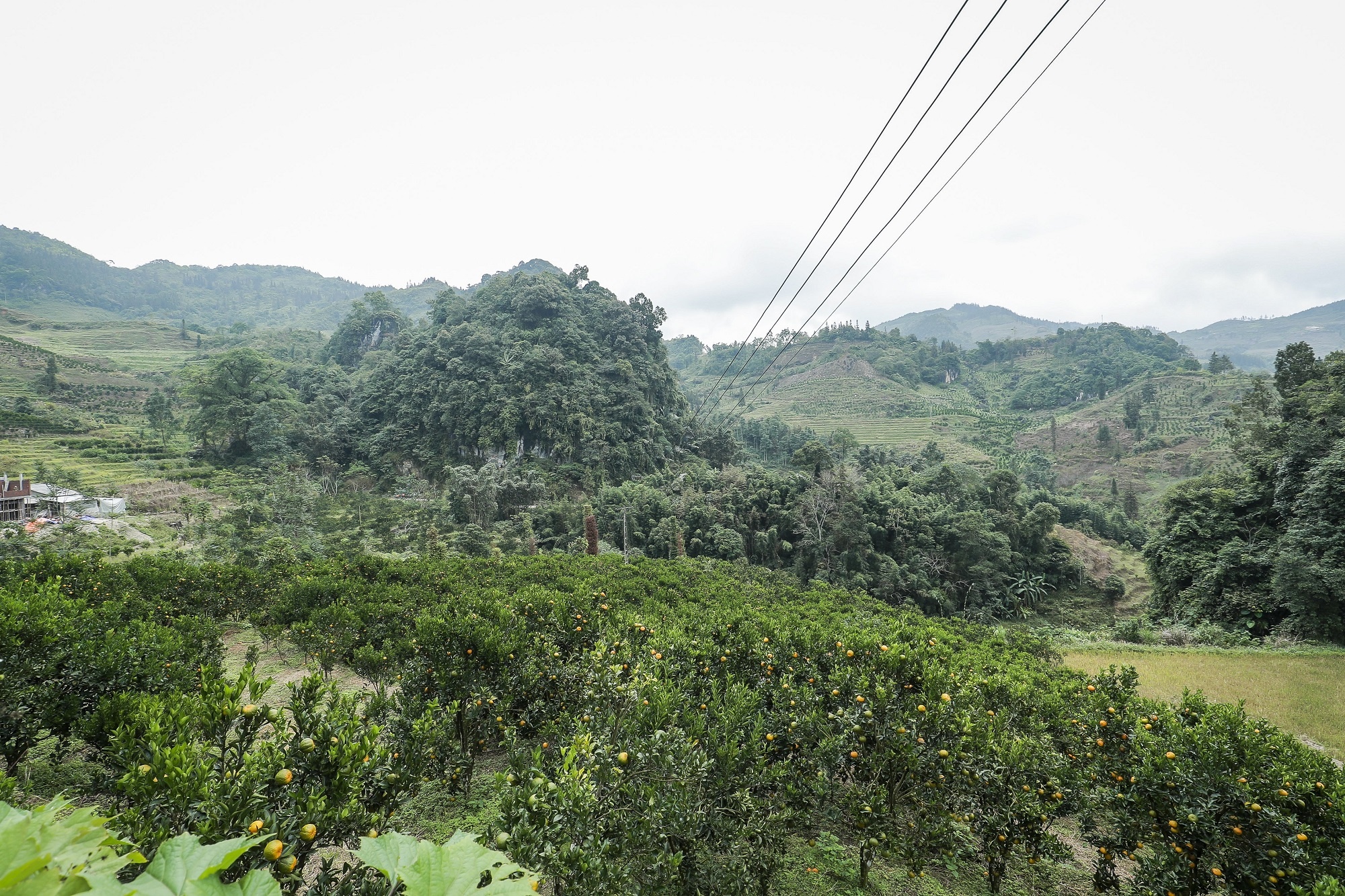 Viettel Lao Cai anh 1