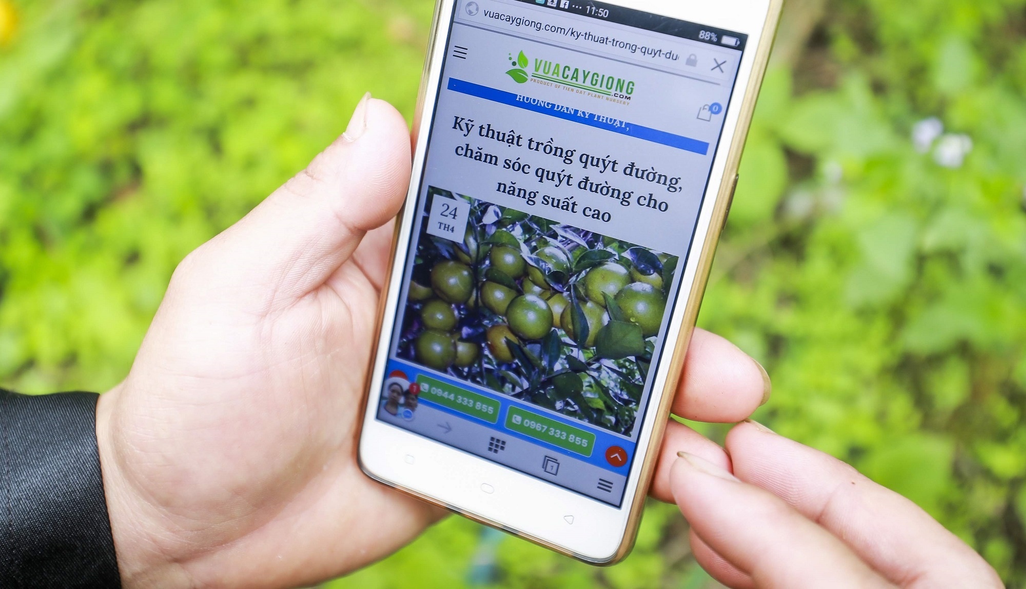 Viettel Lao Cai anh 3