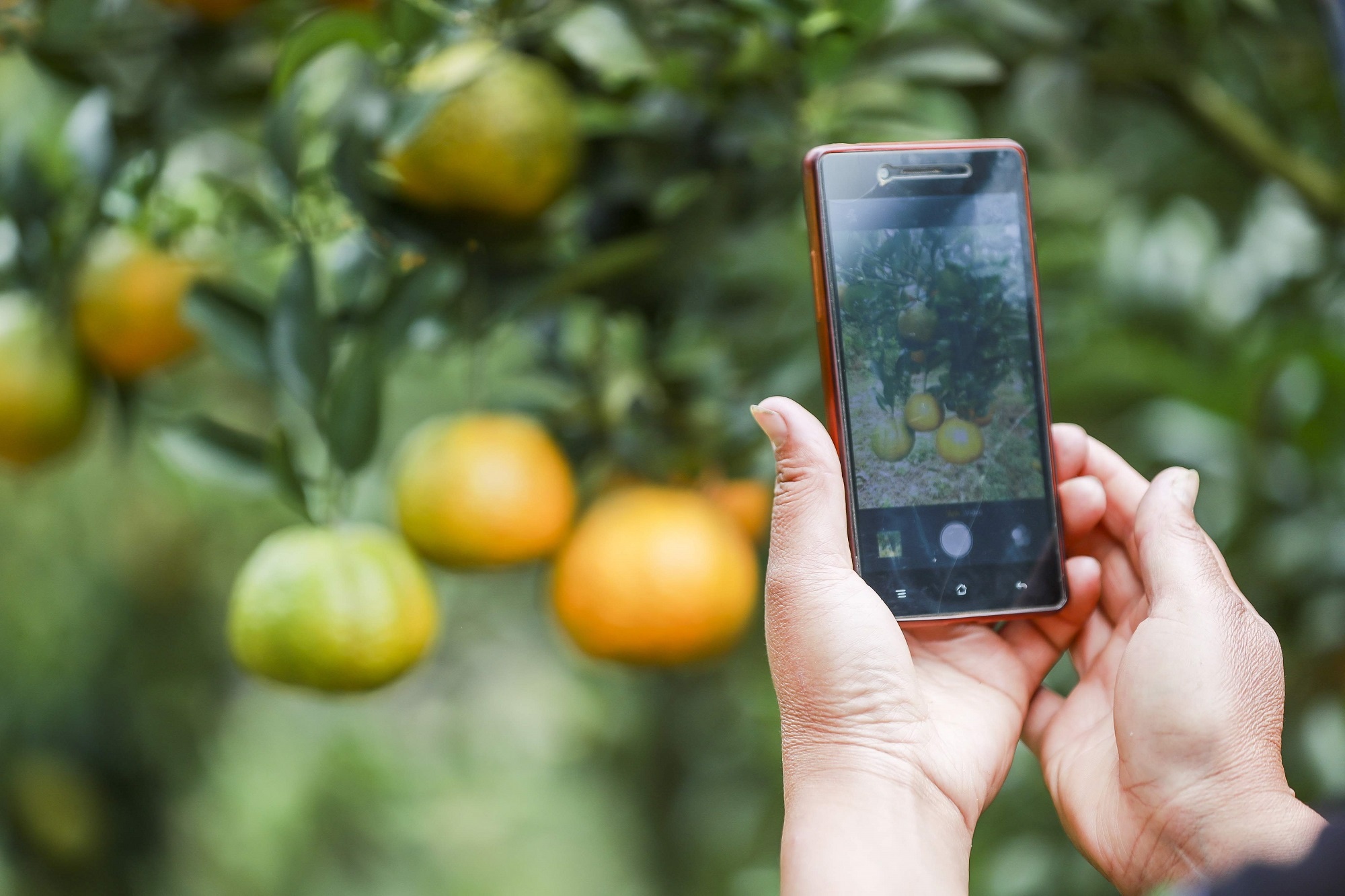 Viettel Lao Cai anh 5