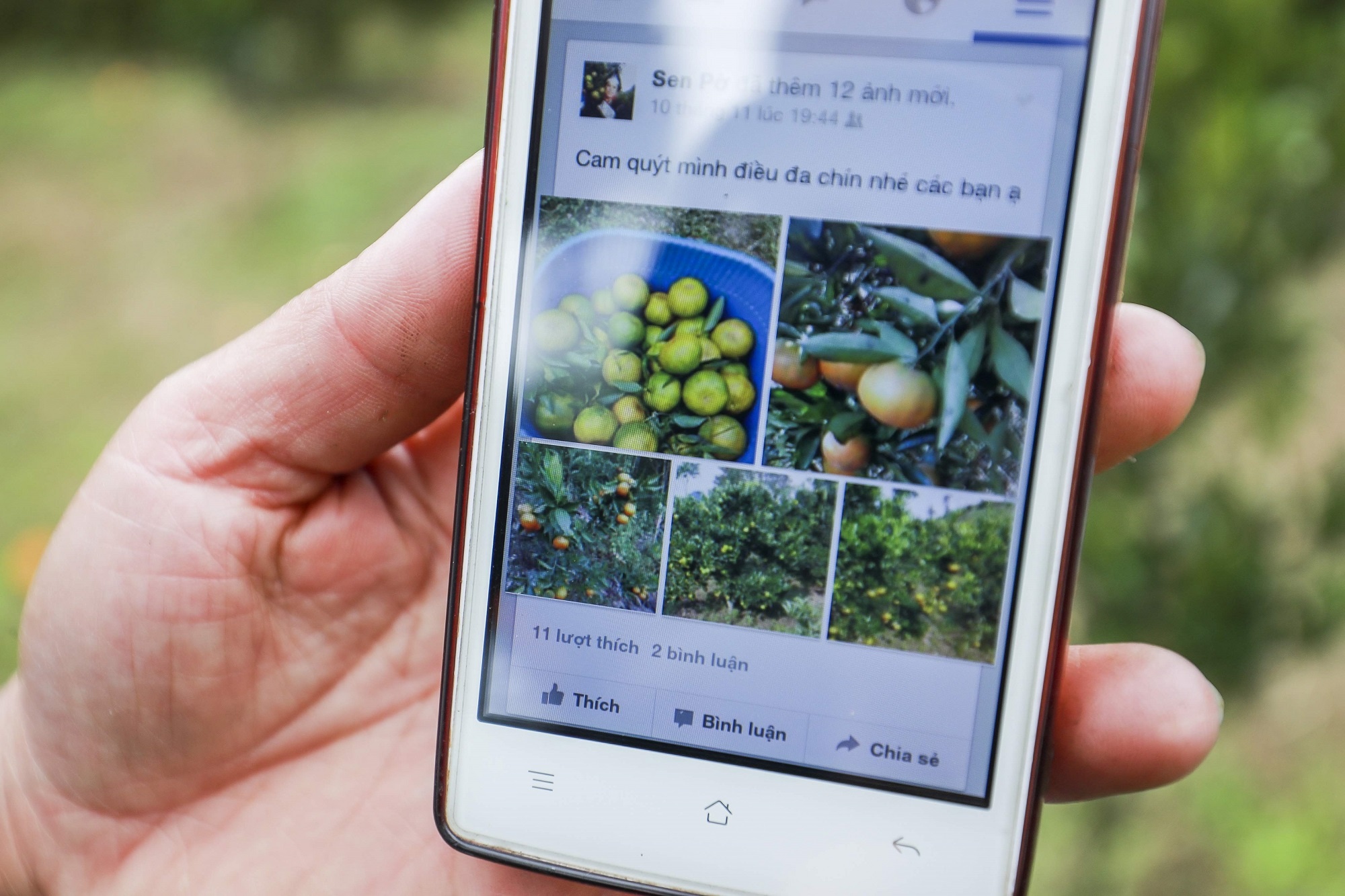 Viettel Lao Cai anh 6