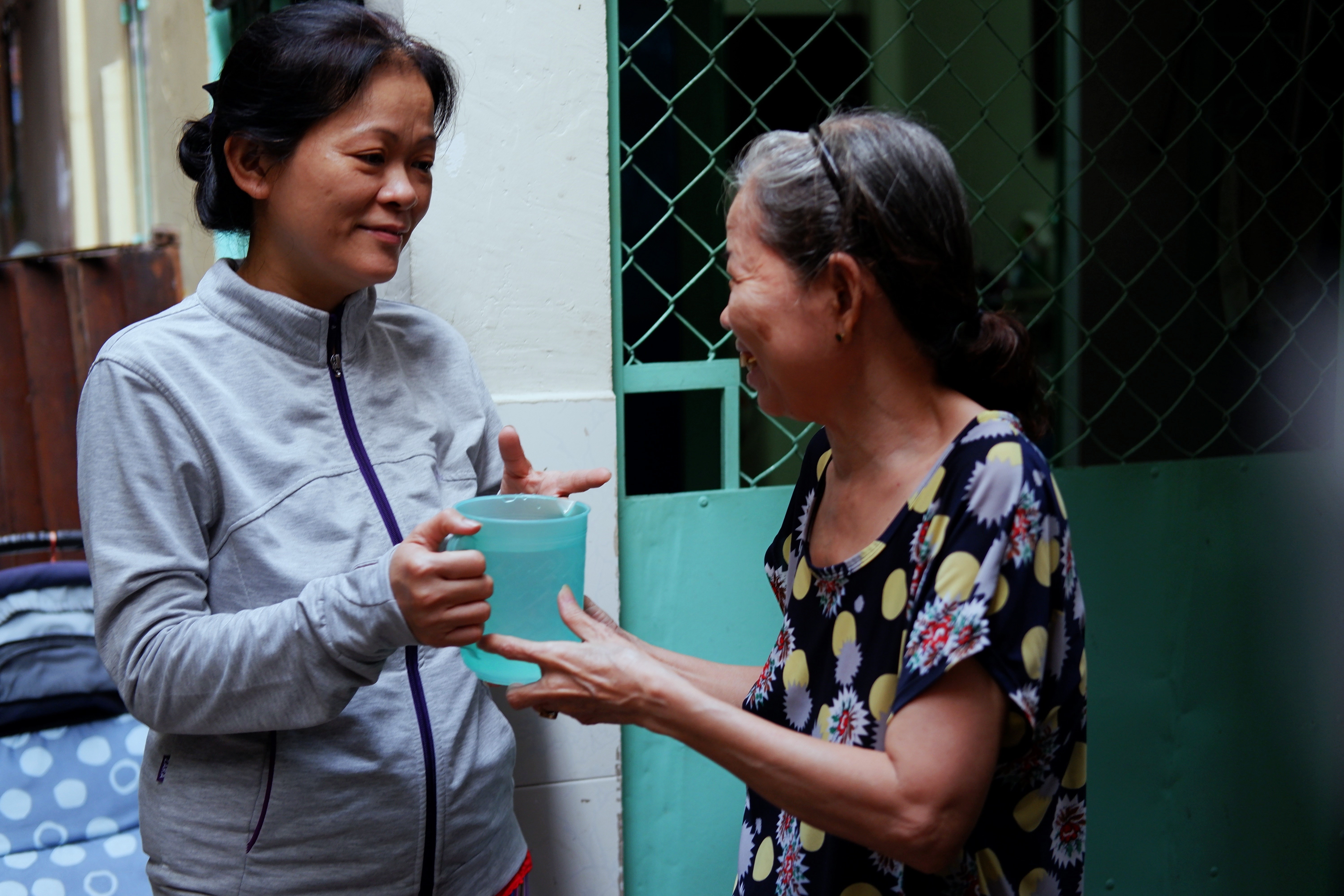 Co Dien Lanh Dai Viet anh 3