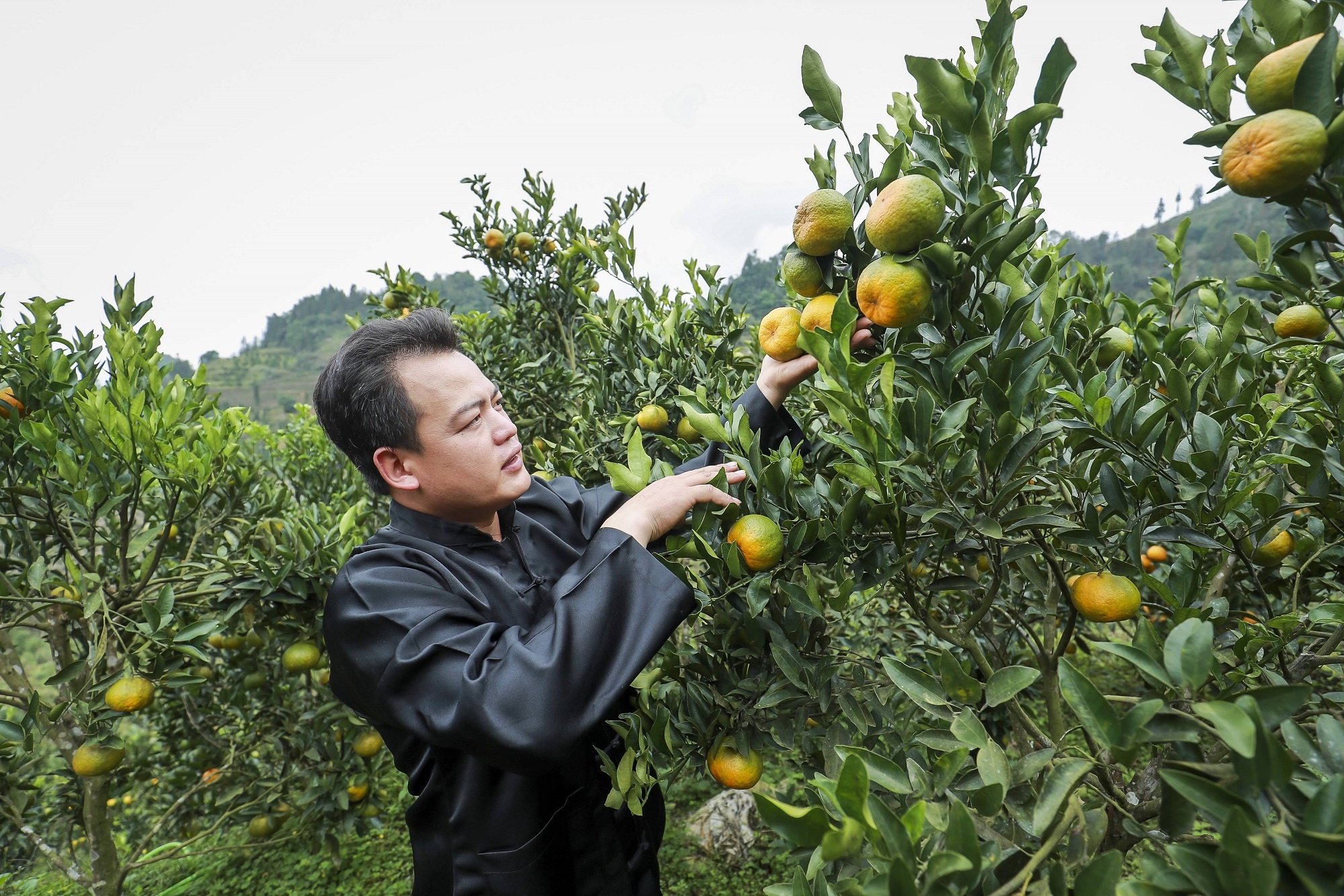 Viettel Lao Cai anh 8