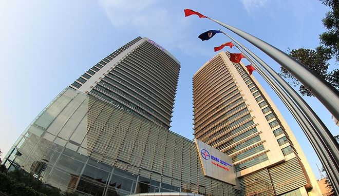 EVN nhan danh hieu 'Doanh nghiep ben vung tai Viet Nam' hinh anh