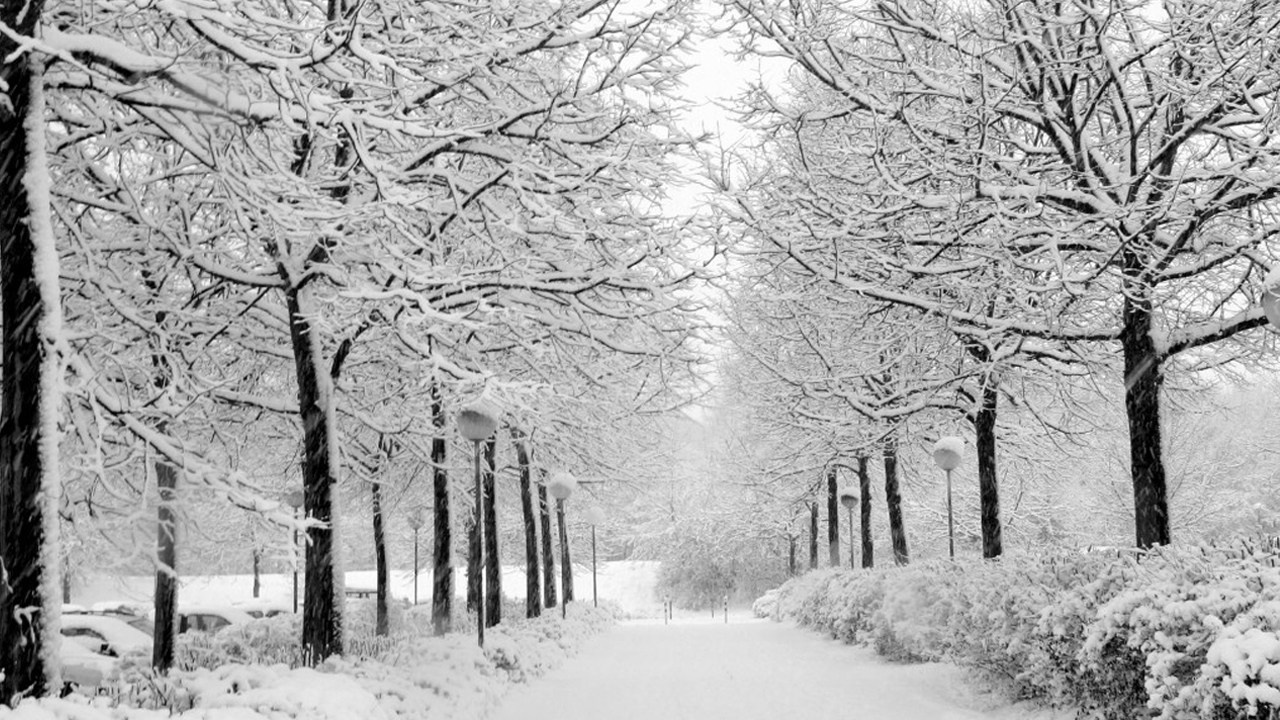 Vietravel Ha Noi anh 5