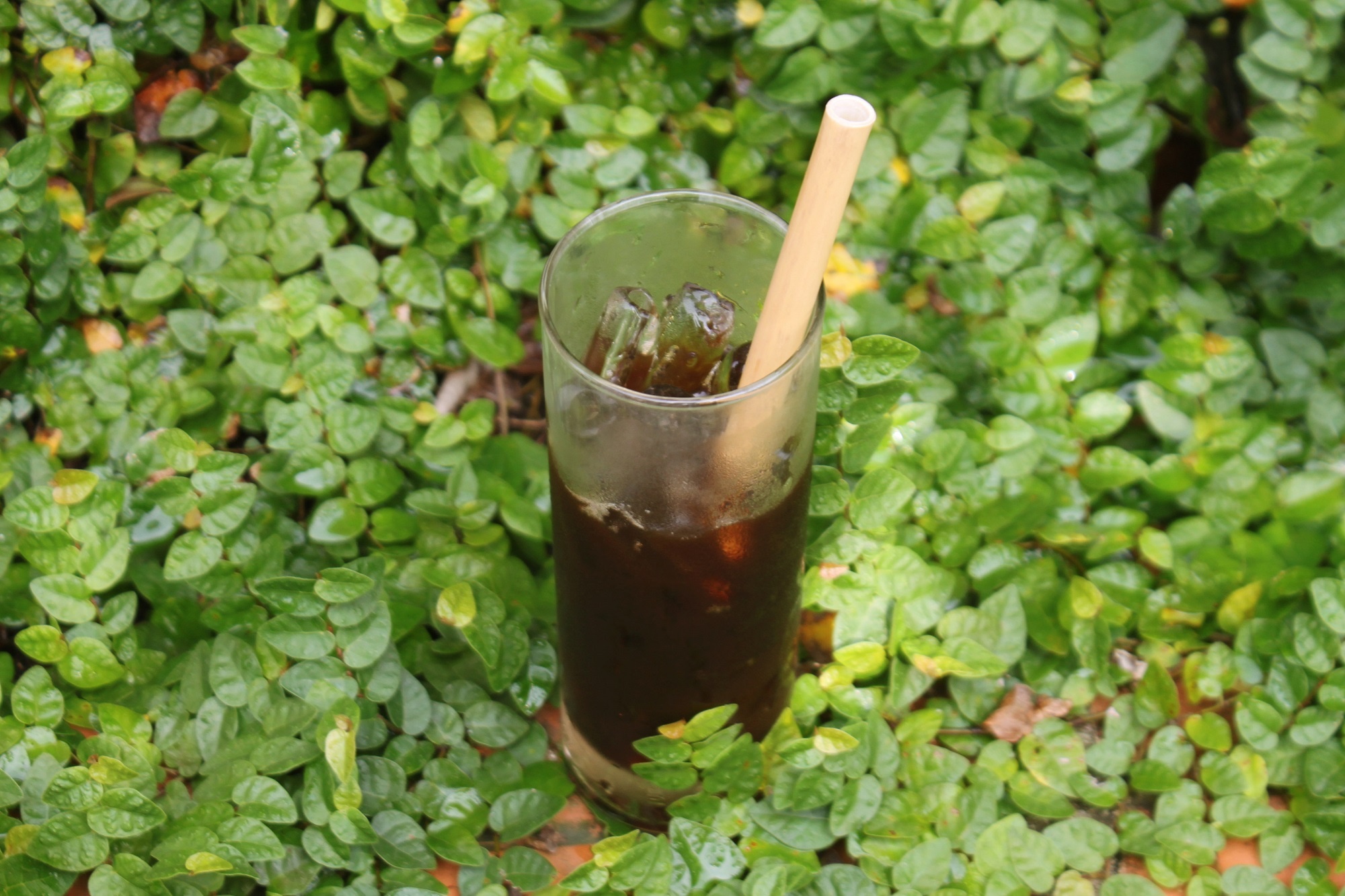 Reedfarm Organic ảnh 2 Reedfarm Organic anh 2