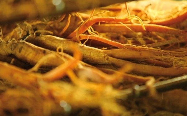 Hong sam Han Quoc anh 1