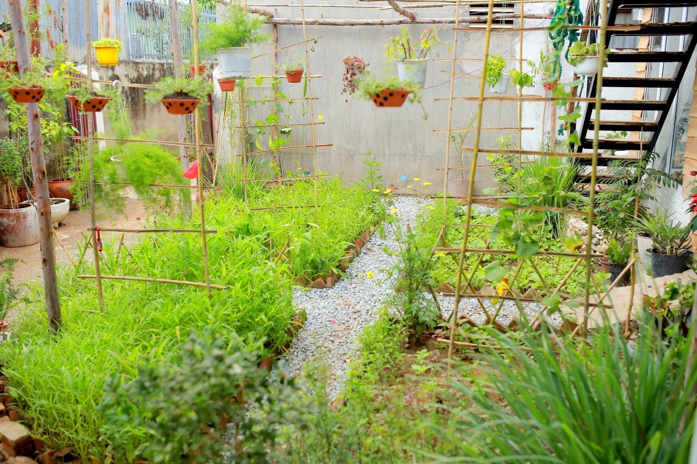 Peace Home ảnh 6 Peace Home anh 6
