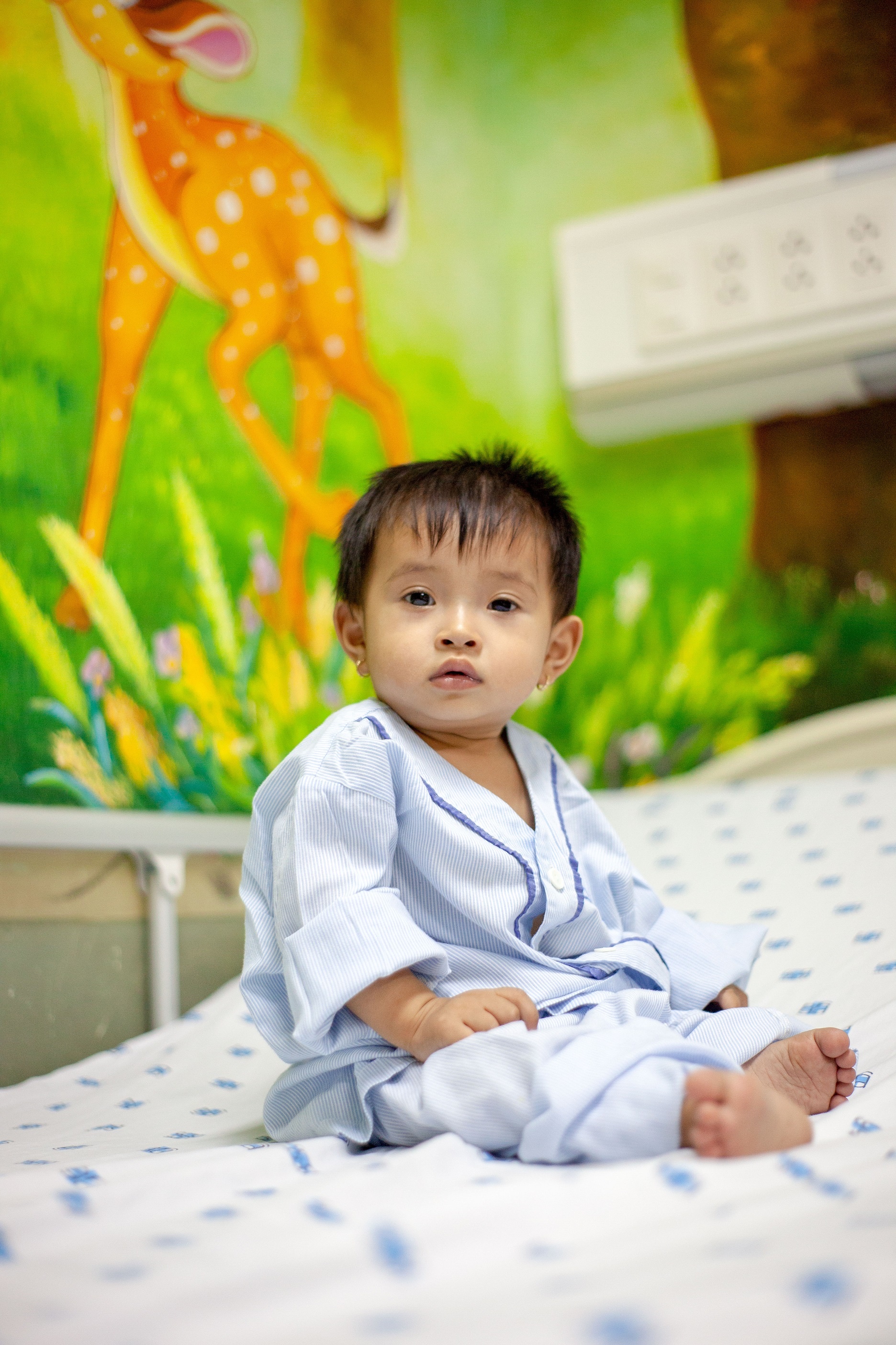 Celadon ảnh 1 Celadon anh 1