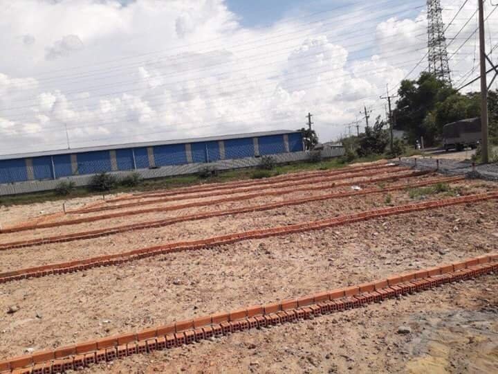 Vietnam House ảnh 2 Vietnam House anh 2