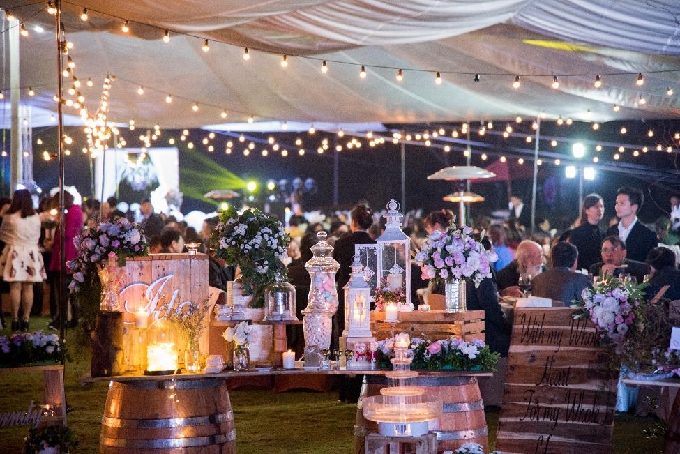 Flamingo Dai Lai Resort anh 4