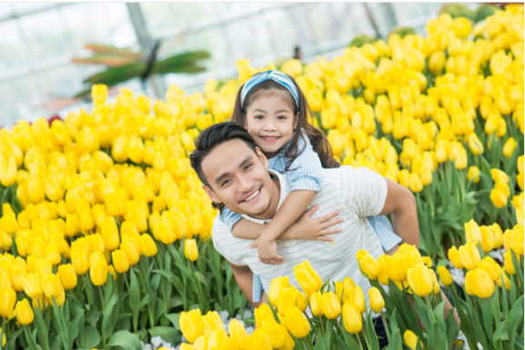 Vinpearl Land ảnh 2 Vinpearl Land anh 2