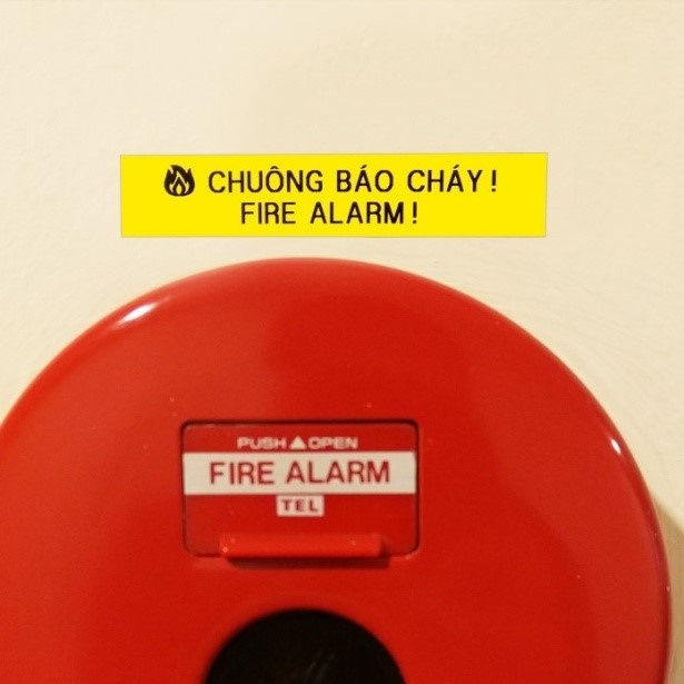 Tepra Pro ảnh 5 Tepra Pro anh 5