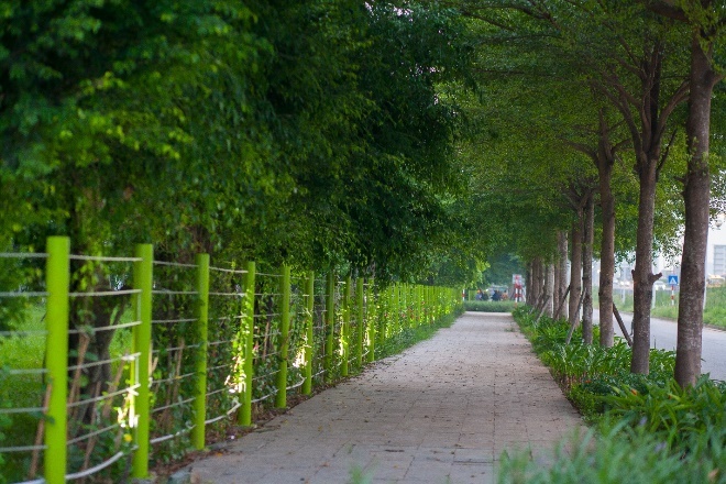 Hồng Hà ảnh 3 Hong Ha anh 3