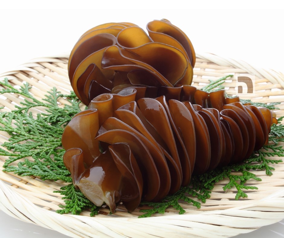 Ly do nguoi Nhat chuong an rong bien hinh anh