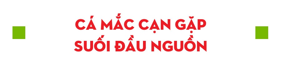 Esuhai ảnh 3 Esuhai anh 3