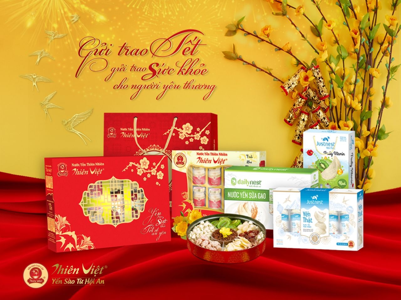 Yến sào Thiên Việt ảnh 2 Yen sao Thien Viet anh 2