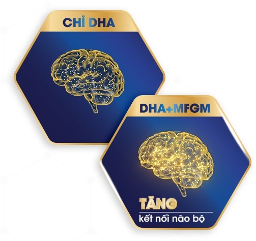 MFGM ảnh 4 MFGM anh 4