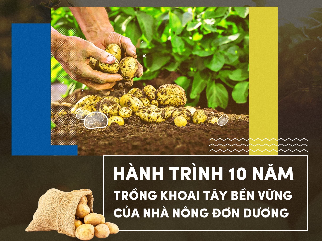 Hanh trinh 10 nam trong khoai tay ben vung cua nha nong Don Duong hinh anh