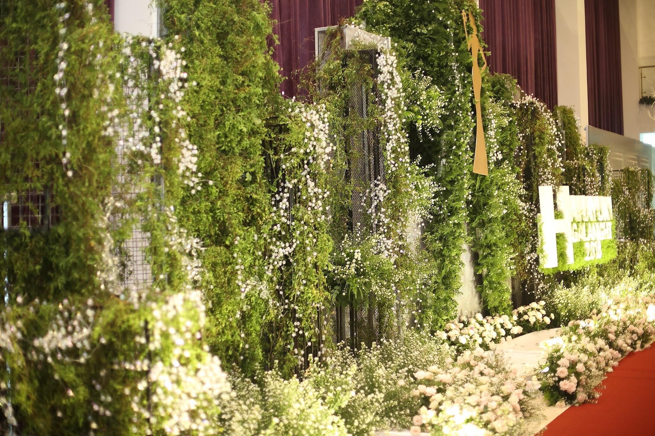 Hanayuki ảnh 3 Hanayuki anh 3