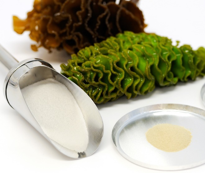 Fucoidan 3-Plus anh 1