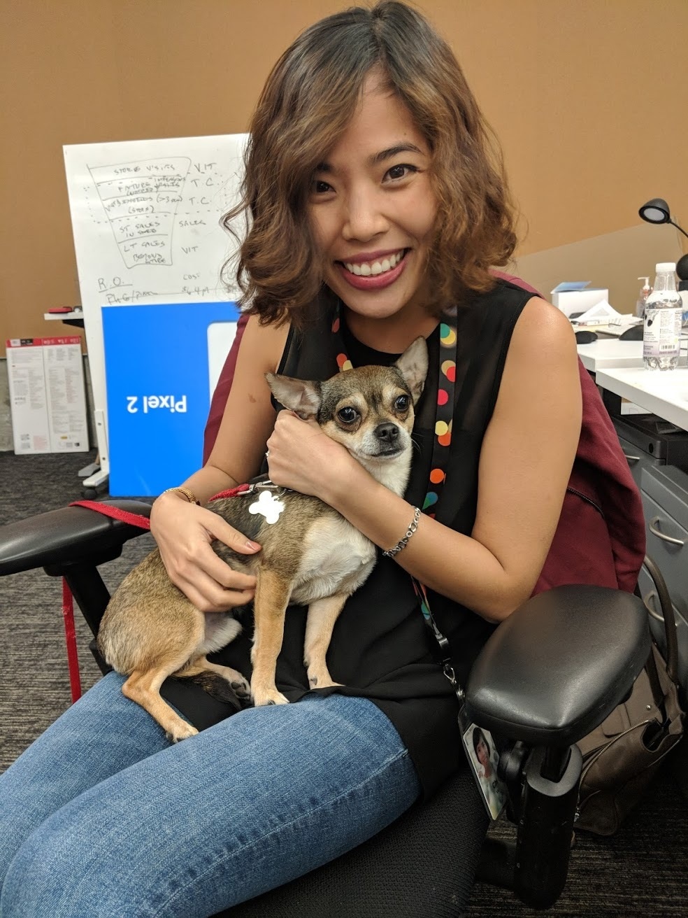 RMIT ảnh 2 RMIT anh 2