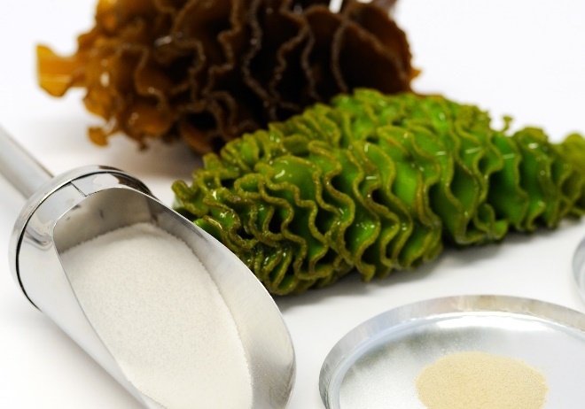 Nhung nghien cuu gia tri ve fucoidan va benh ung thu hinh anh