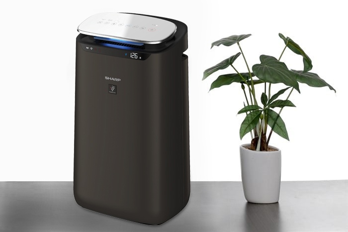 Sharp ảnh 4 Sharp anh 4