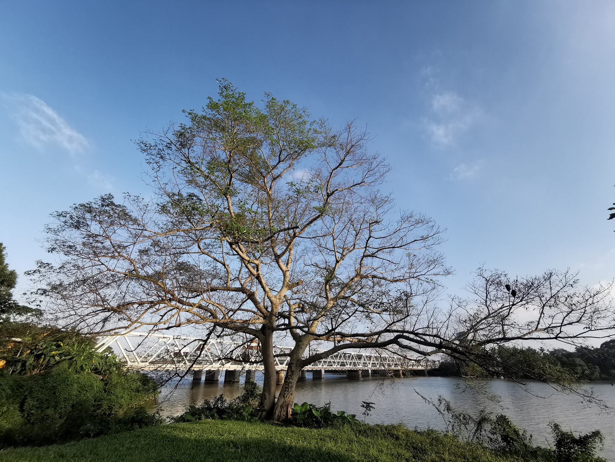 Huawei ảnh 9 Huawei anh 9