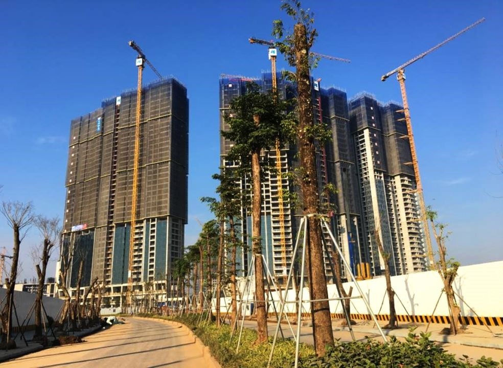 Sunshine Group ảnh 3 Sunshine Group anh 3