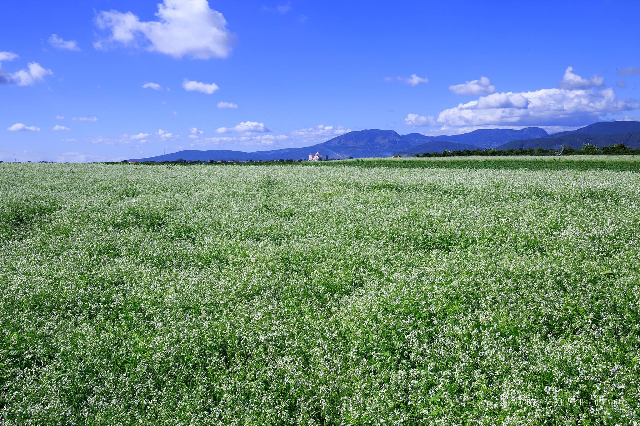 Da Lat Trong Toi anh 5