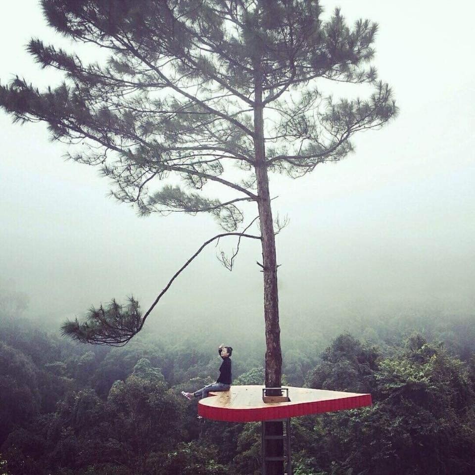 Da Lat Trong Toi anh 4