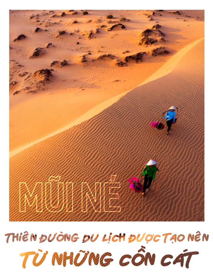 novaland ảnh 1 novaland anh 1