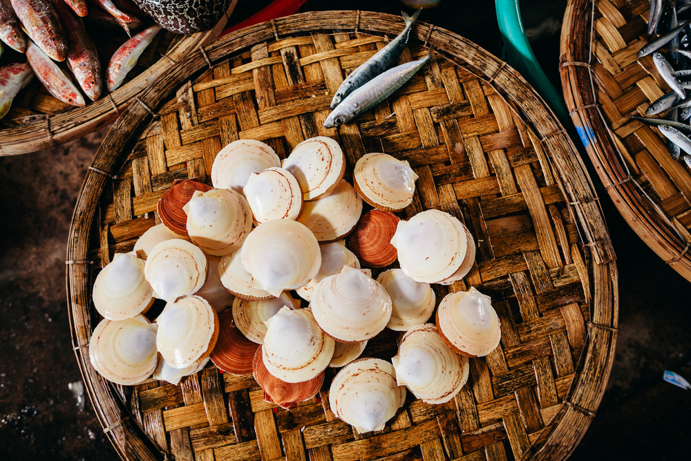 novaland ảnh 11 novaland anh 11