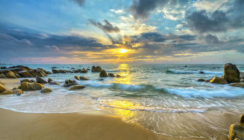 novaland ảnh 4 novaland anh 4