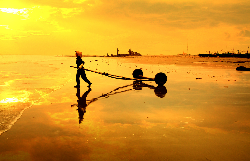 novaland ảnh 6 novaland anh 6