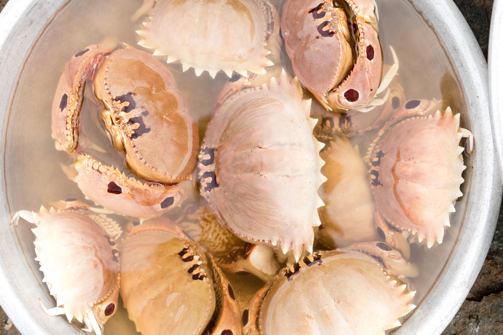 novaland ảnh 12 novaland anh 12