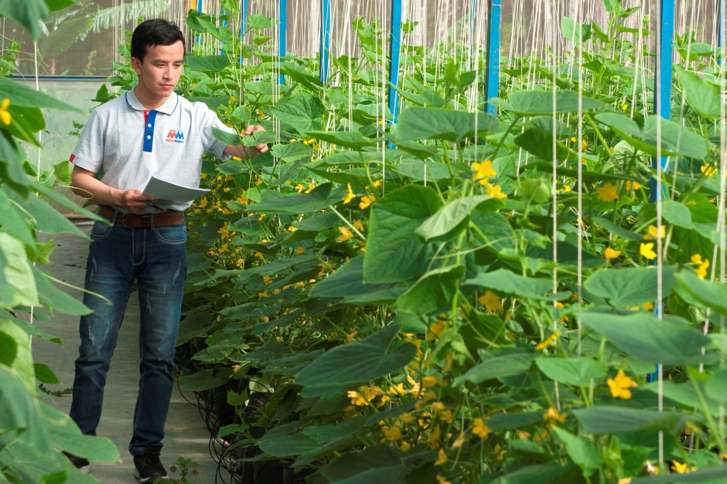 MM Mega Market ảnh 2 MM Mega Market anh 2