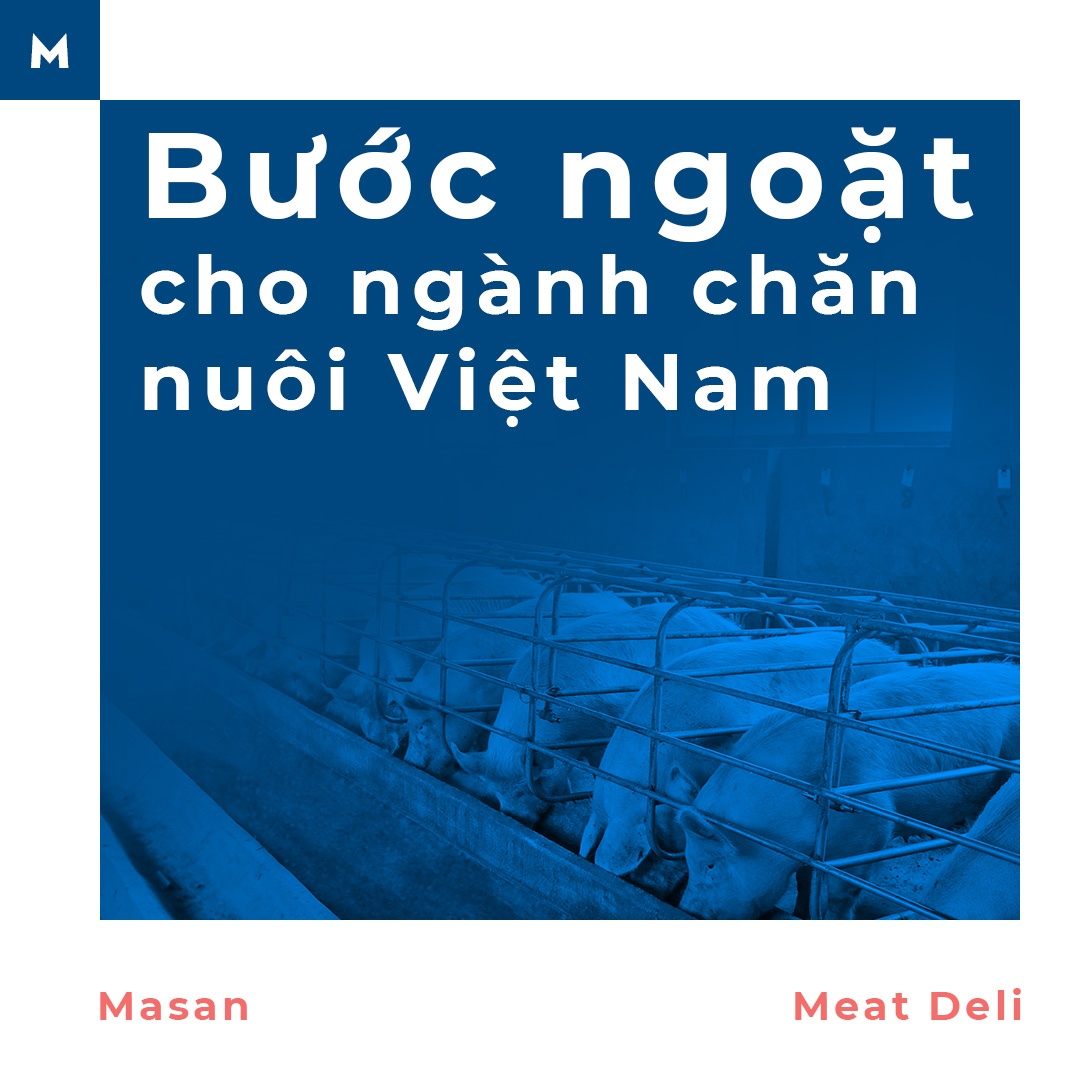 Masan anh 7