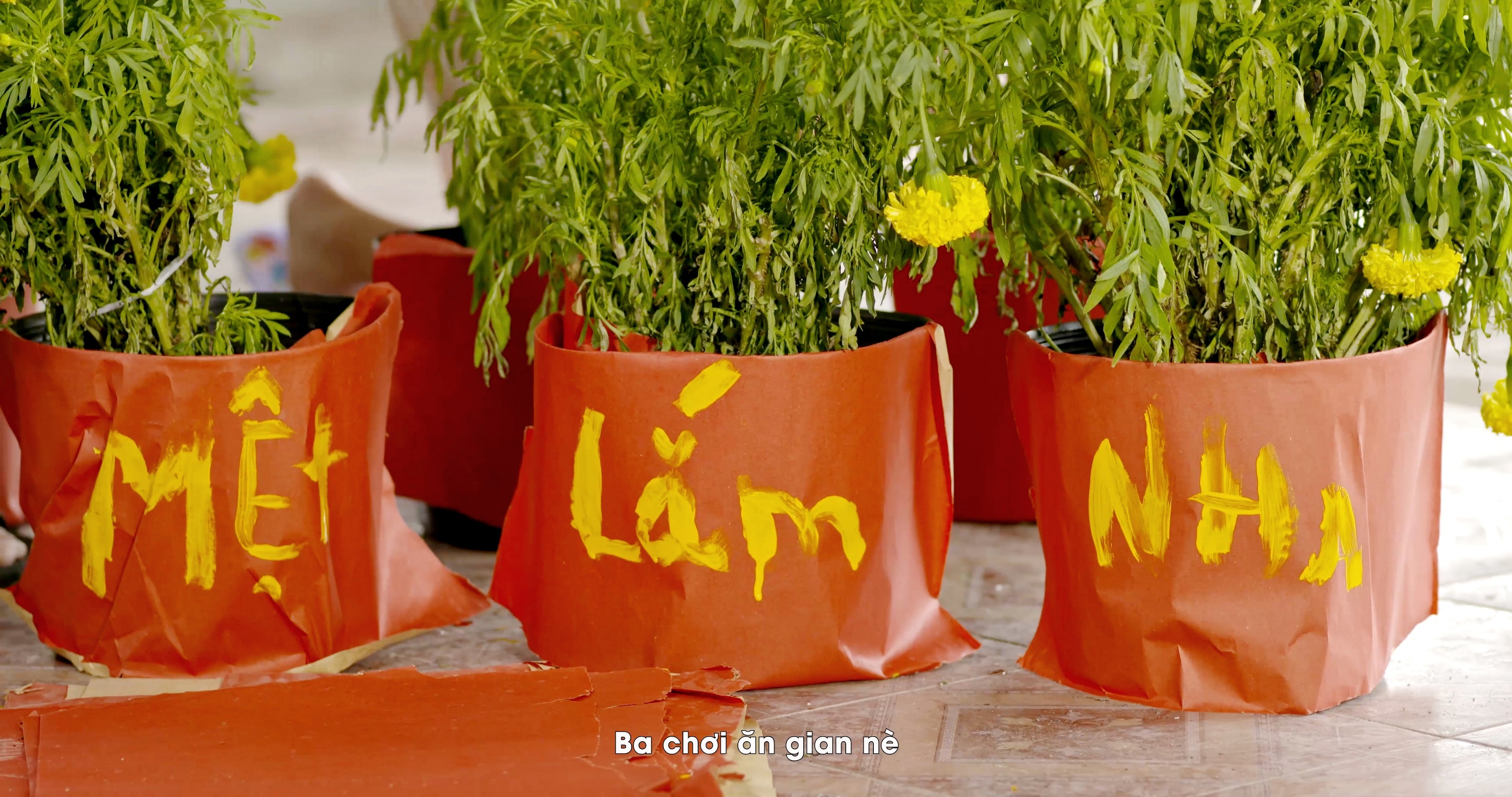 OMO ảnh 2 OMO anh 2